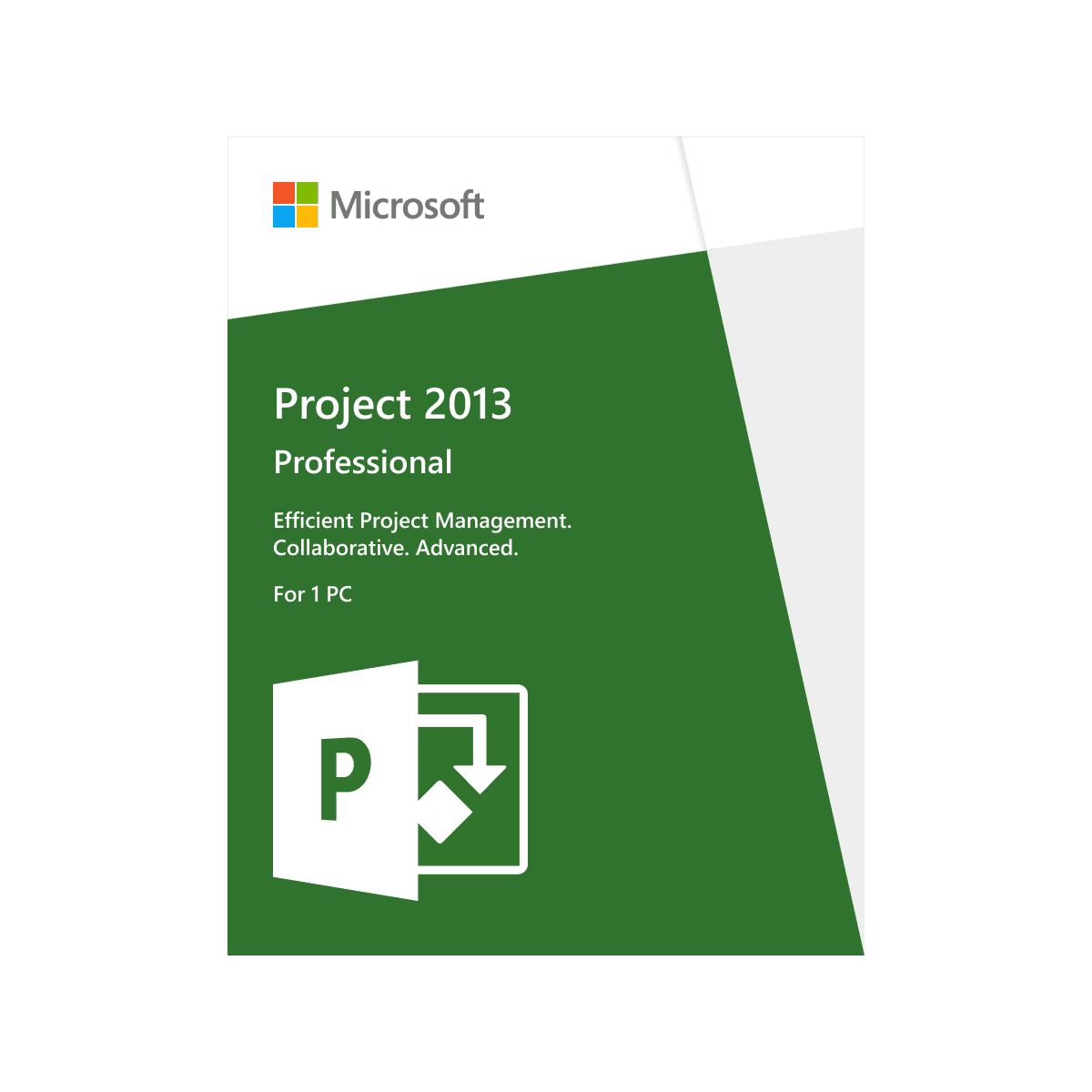 Microsoft Project 2013 Professional