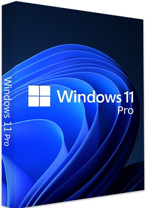 Windows 11 Pro