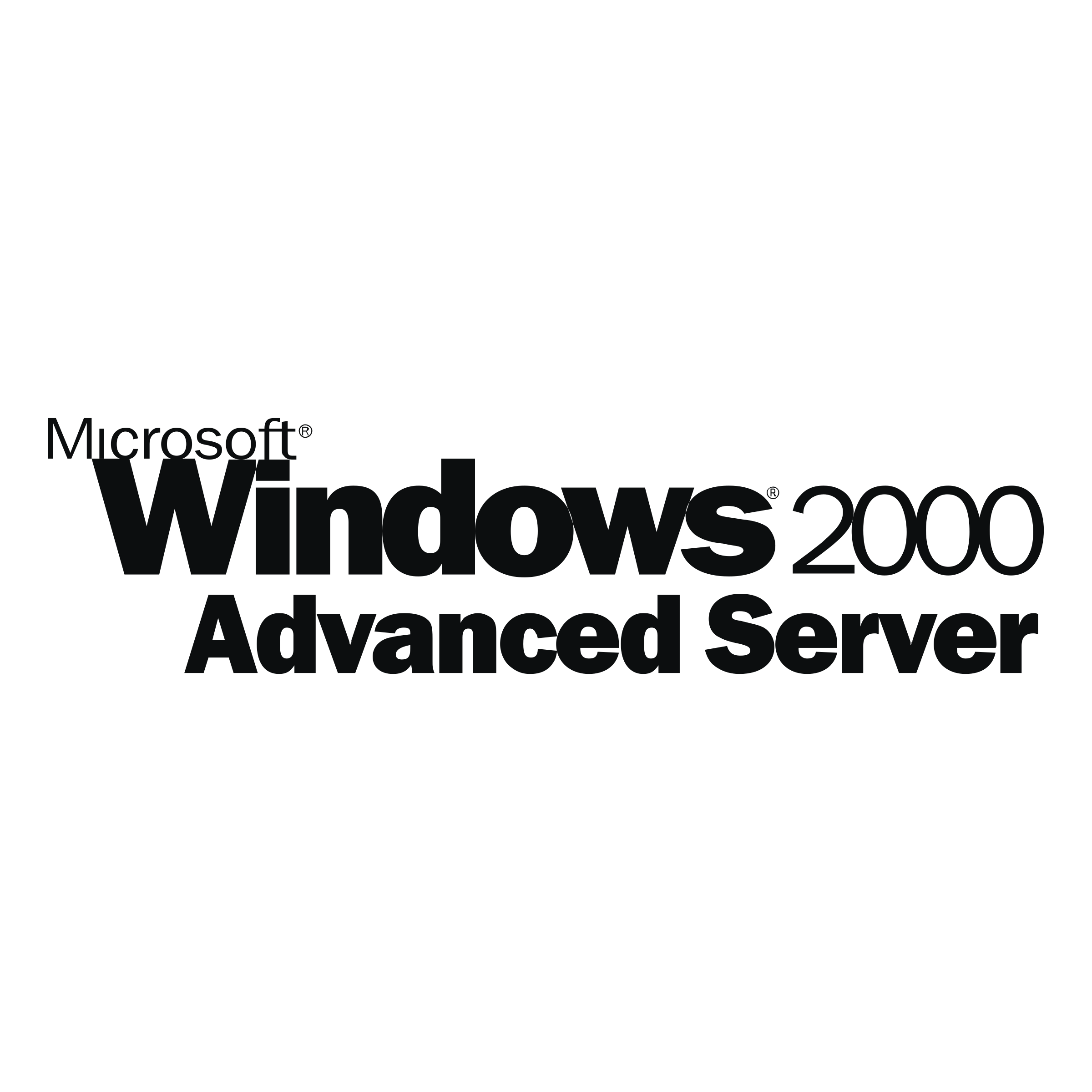 Windows 2000 Professional Logo