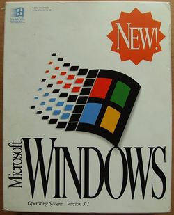 Windows 3.1